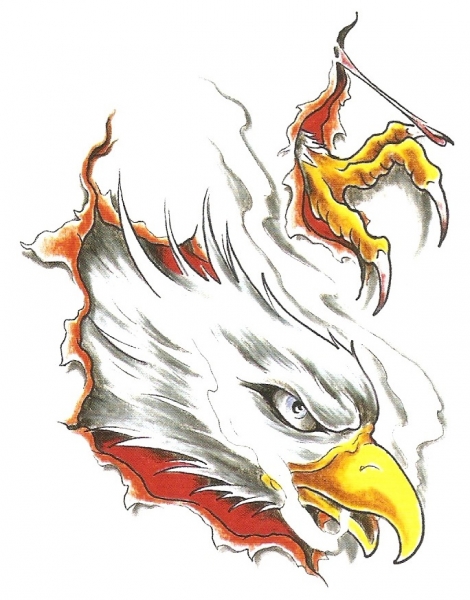 Card image cap